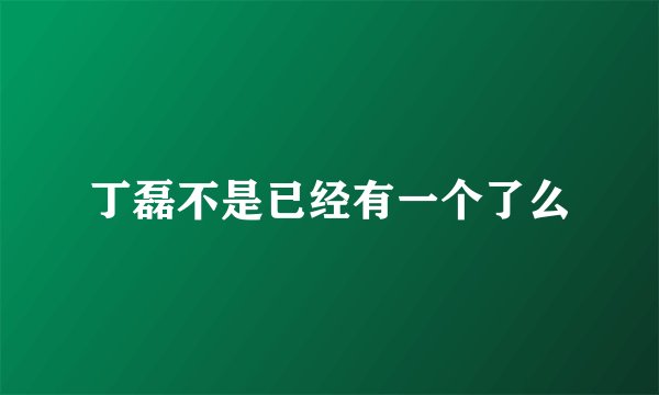 丁磊不是已经有一个了么
