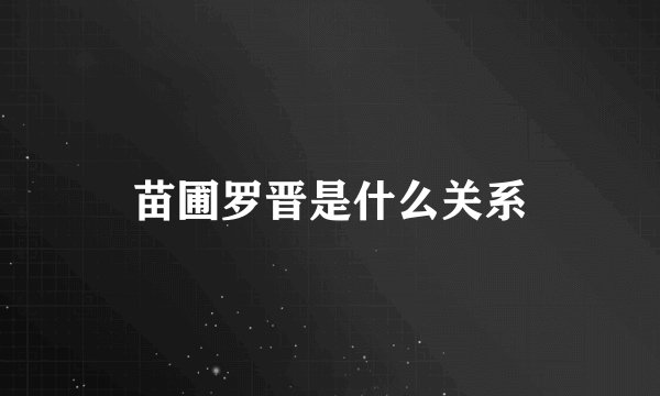 苗圃罗晋是什么关系