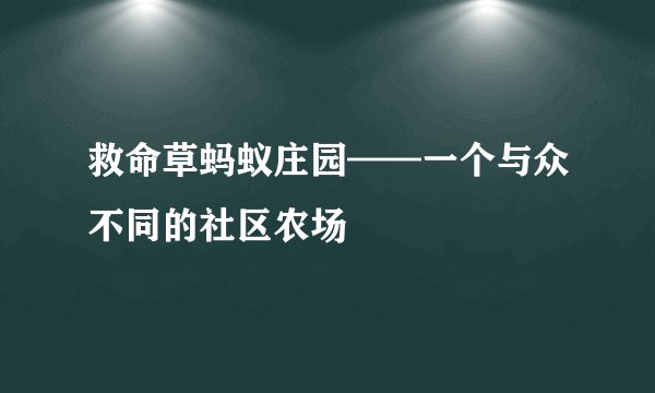 救命草蚂蚁庄园——一个与众不同的社区农场