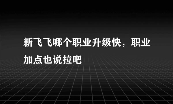 新飞飞哪个职业升级快，职业加点也说拉吧