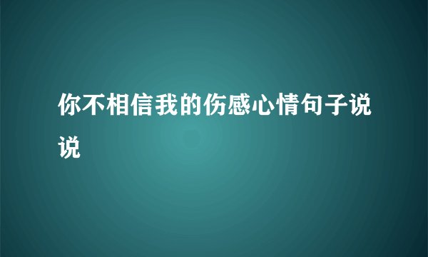 你不相信我的伤感心情句子说说