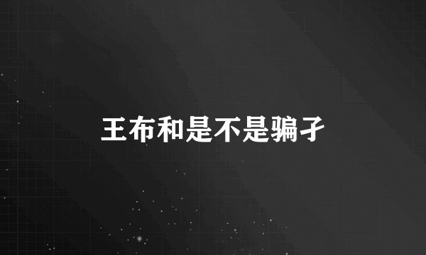 王布和是不是骗孑