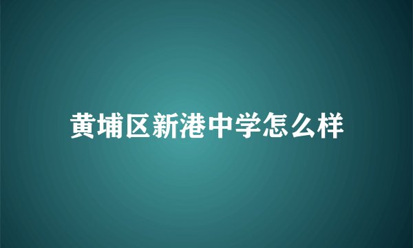 黄埔区新港中学怎么样