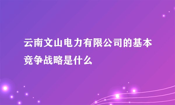 云南文山电力有限公司的基本竞争战略是什么