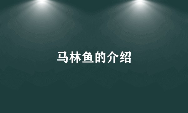 马林鱼的介绍
