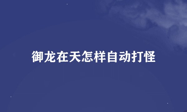 御龙在天怎样自动打怪
