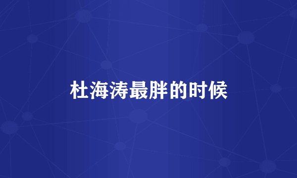 杜海涛最胖的时候