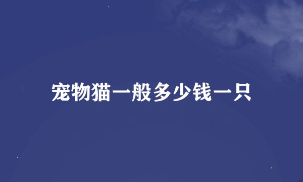 宠物猫一般多少钱一只