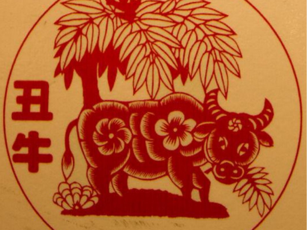 牛年是哪几年