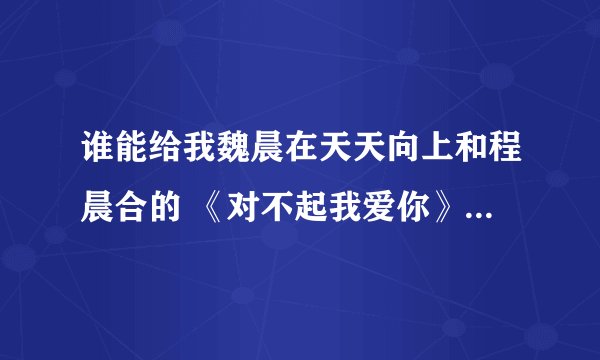 谁能给我魏晨在天天向上和程晨合的 《对不起我爱你》 带歌词哦 谢谢哈！~
