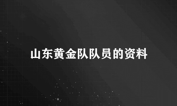 山东黄金队队员的资料