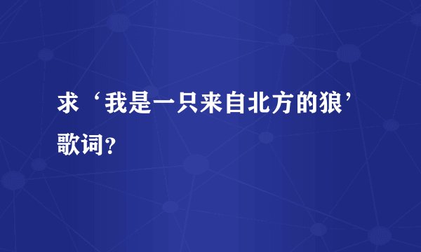 求‘我是一只来自北方的狼’歌词？