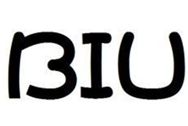 biu是什么意思