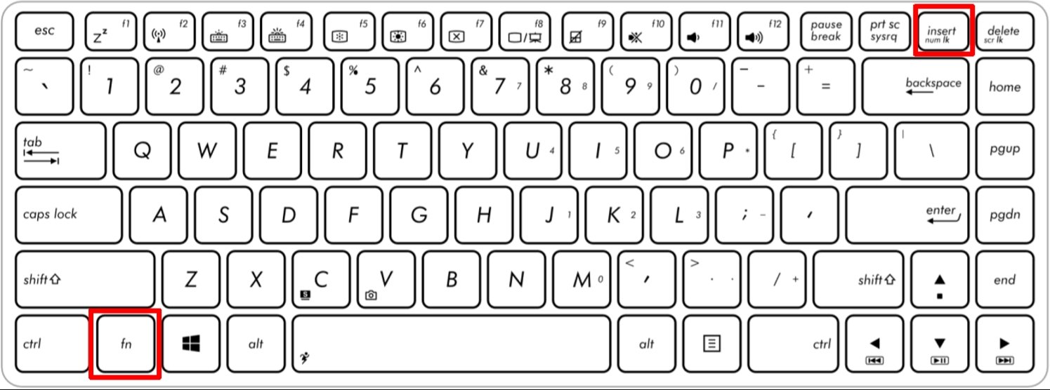 为什么电脑上的字母键会变成数字键？