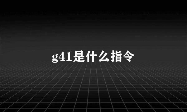g41是什么指令