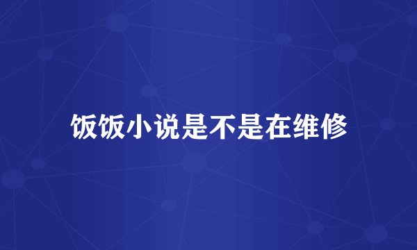 饭饭小说是不是在维修
