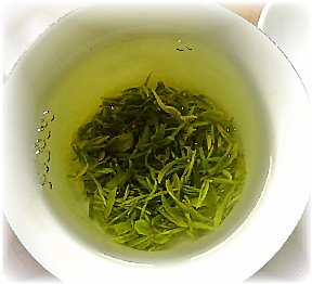 新茶网的发展历程