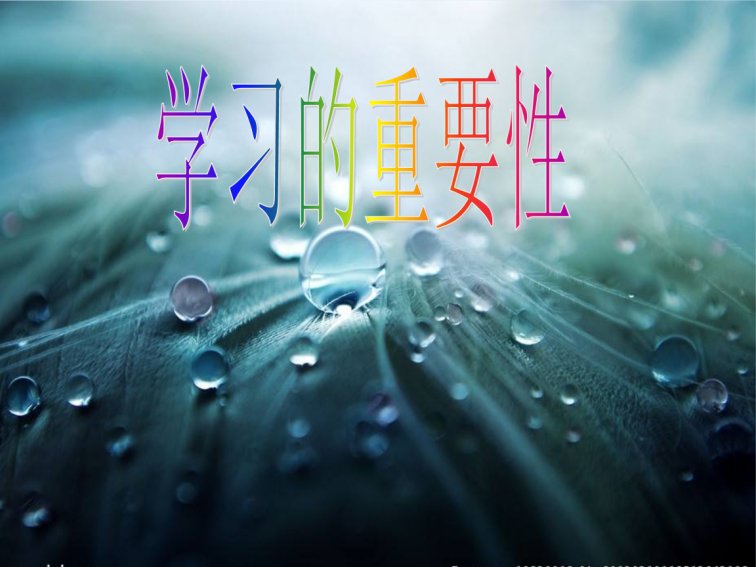 怎样沉迷于学习中