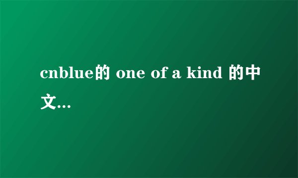 cnblue的 one of a kind 的中文歌词 答案满意后加悬赏分
