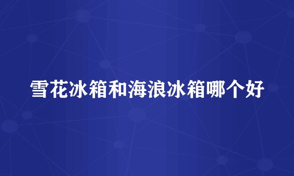雪花冰箱和海浪冰箱哪个好