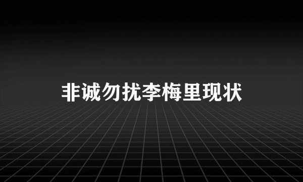非诚勿扰李梅里现状