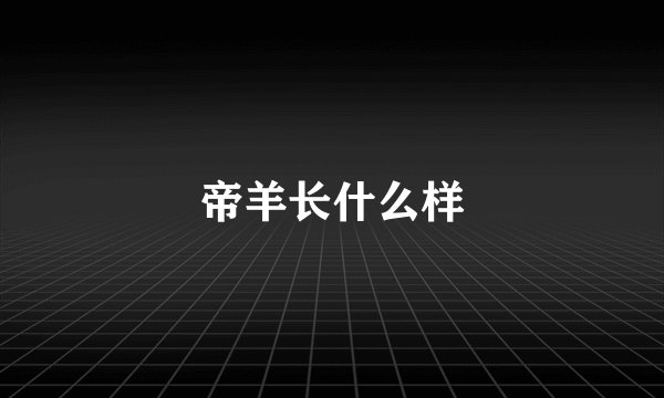 帝羊长什么样