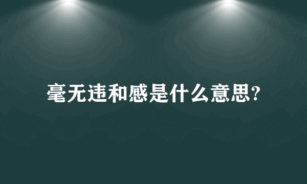 毫无违和感是什么意思?