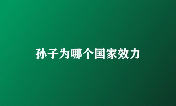 孙子为哪个国家效力