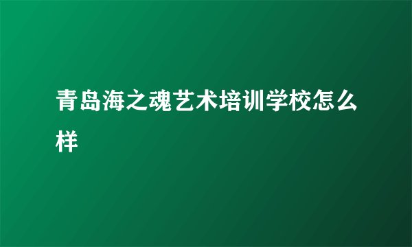 青岛海之魂艺术培训学校怎么样