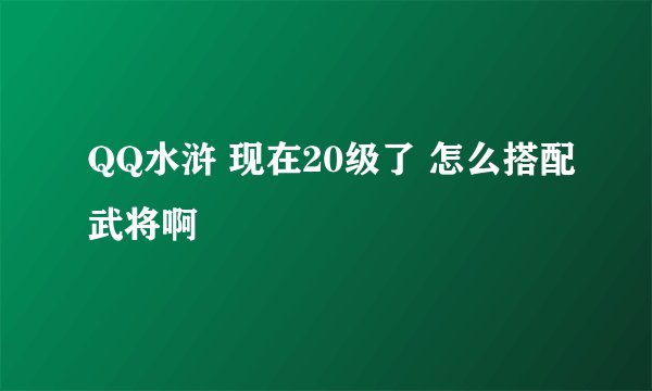 QQ水浒 现在20级了 怎么搭配武将啊