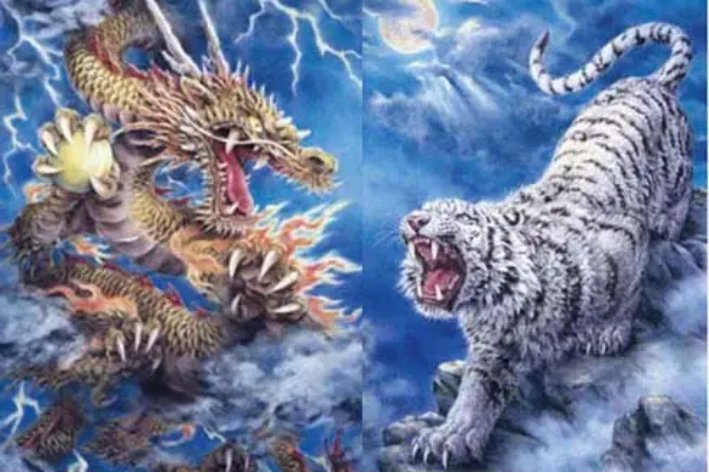 什么龙什么虎