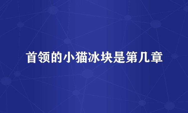 首领的小猫冰块是第几章