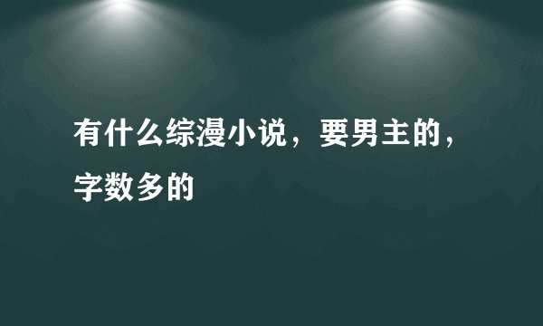 有什么综漫小说，要男主的，字数多的