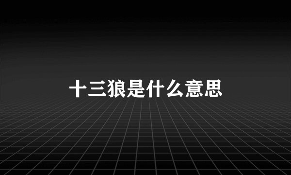 十三狼是什么意思