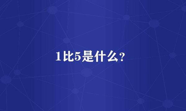 1比5是什么？