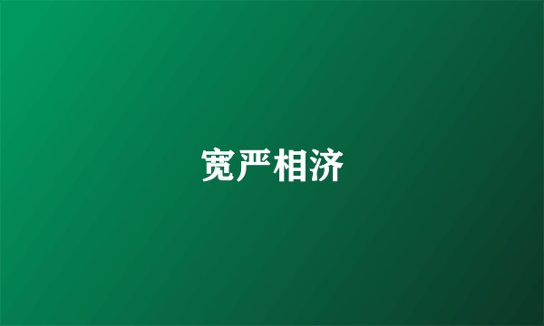 宽严相济
