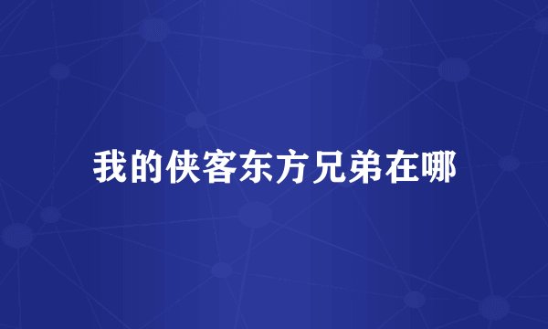 我的侠客东方兄弟在哪