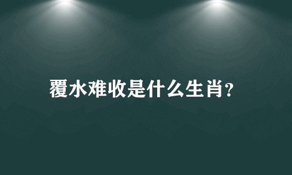 覆水难收是什么生肖？
