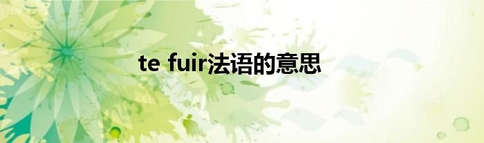 tefuir法语的意思