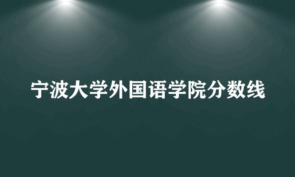 宁波大学外国语学院分数线
