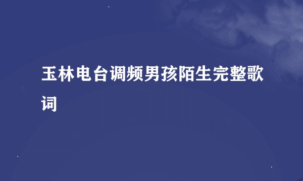 玉林电台调频男孩陌生完整歌词