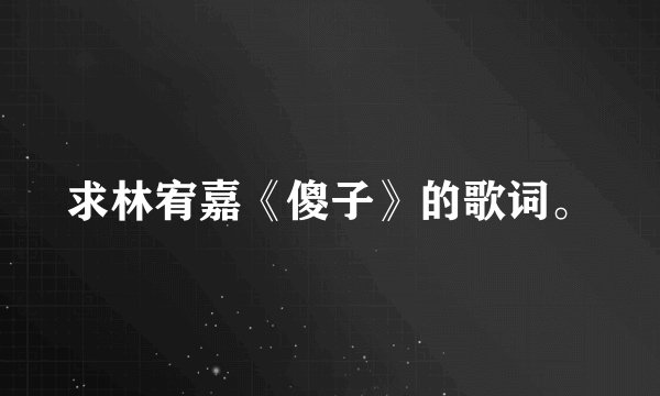 求林宥嘉《傻子》的歌词。