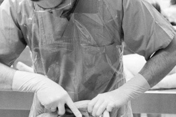 我在骨语截了一小段