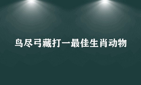 鸟尽弓藏打一最佳生肖动物