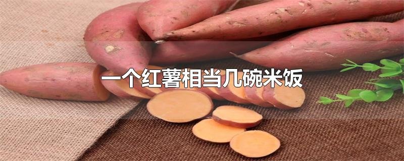 一个红薯相当几碗米饭？