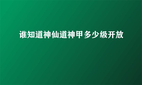 谁知道神仙道神甲多少级开放