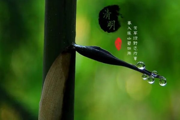 清明手抄报内容英语