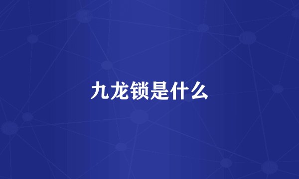 九龙锁是什么