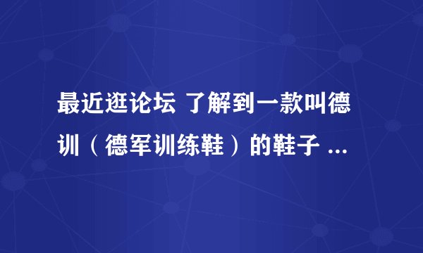 最近逛论坛 了解到一款叫德训（德军训练鞋）的鞋子 英文名叫German Trainer 看起来很潮谁能介绍下来由？
