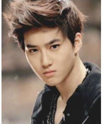 EXO一共几个人?